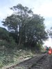 DSCF2506.JPG