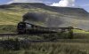 Northern Belle 9 2 NP.jpg