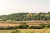 _DSC7213.jpg
