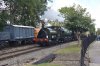 DSC_0486.JPG