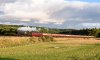 _DSC2936-Edit.jpg