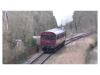 F682FB2B-4159-4DEB-8AB6-1E1361F78890.png