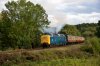 55009-03b.JPG