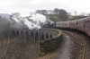 DSC07978.JPG