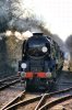 Braunton rolls into Medstead.JPG