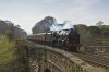Hadrian Scot 2a.jpg