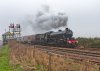 DSC_1782A.jpg