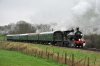 Swanage-06.jpg