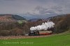 DSC_8731_watermarked500.jpg