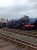 6023 on shed.JPG