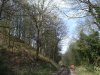 DSCF2348a.jpg