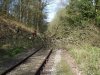 DSCF2350a.jpg
