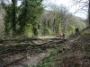 DSCF2354a.jpg