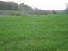 DSC03522.JPG