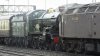 DSCF2764.JPG