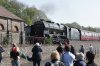 DSC08484.JPG