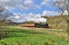DSC_2419.JPG