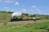 DSC_2473.JPG