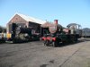 46447 Out in the Sun 18 May 14.JPG