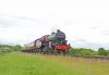 Crab passing Burrs lr.jpg