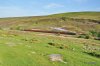 DSC_3148.JPG