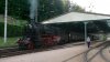 DSCF6146 resize.jpg