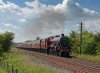 DSC_2952.jpg