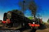 _DSR9854_DxO_2_01.JPG