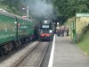 34016 on the Cunarder.jpg