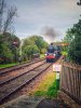 DSC_1482-01.jpeg