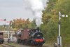 51241-04a.JPG