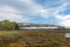 _DSC7557.jpg