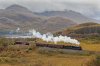 _DSC7598.jpg
