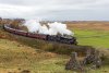 _DSC7640.jpg