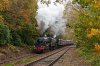 _DSC7801.jpg