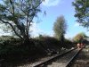 DSCF2529.JPG