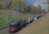 M-48305rothley19112022.jpg