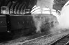 4498 Sir Nigel Gresley_York_171122.jpg