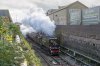 _DSC7858.jpg