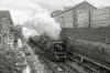 _DSC7858m.jpg