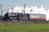 LONG BUCKBY M.jpg