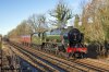 DSC_14801.jpg