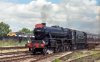123-08. 44932 MRT 08.07.jpg