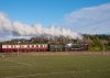 23D_0135 70000 Hartshill Park, Oakengates 250123.jpg