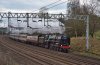 DSC_5711.jpg