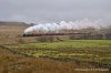 _DSC9957.JPG