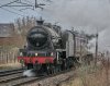 _DSC7820-DeNoiseAI-clear 1.jpg