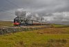 DSC_3454.jpg