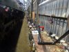 DSC02434.JPG