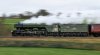 _DSC3107-Edit.jpg